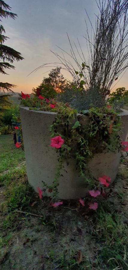 Le Rose Di Mapi Villa Mango Buitenkant foto