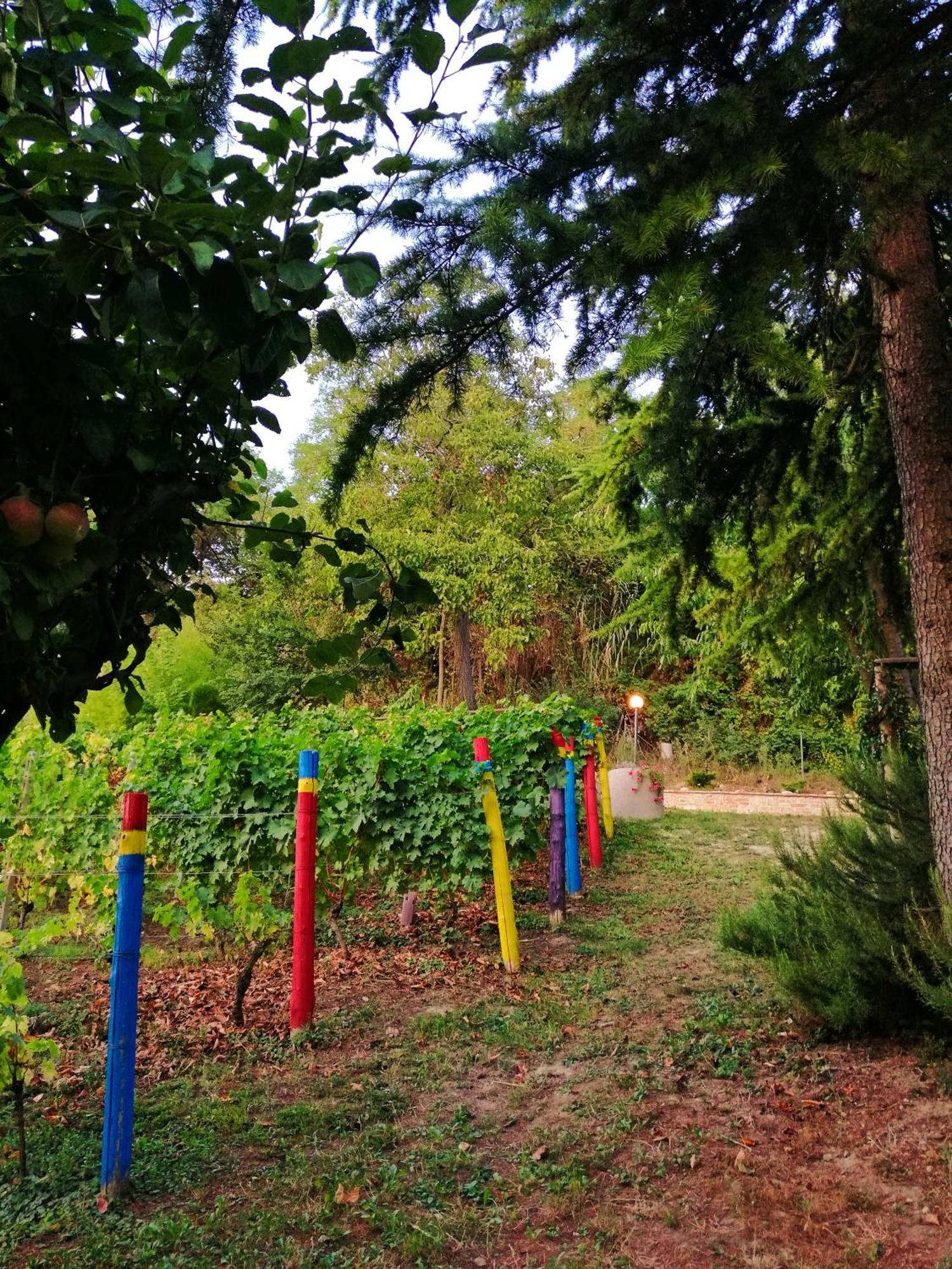 Le Rose Di Mapi Villa Mango Buitenkant foto