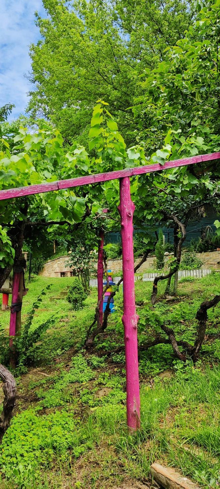 Le Rose Di Mapi Villa Mango Buitenkant foto