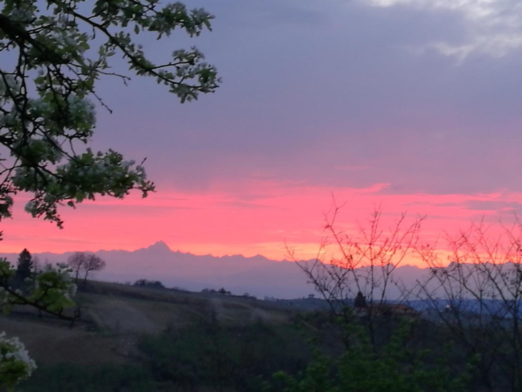 Le Rose Di Mapi Villa Mango Buitenkant foto