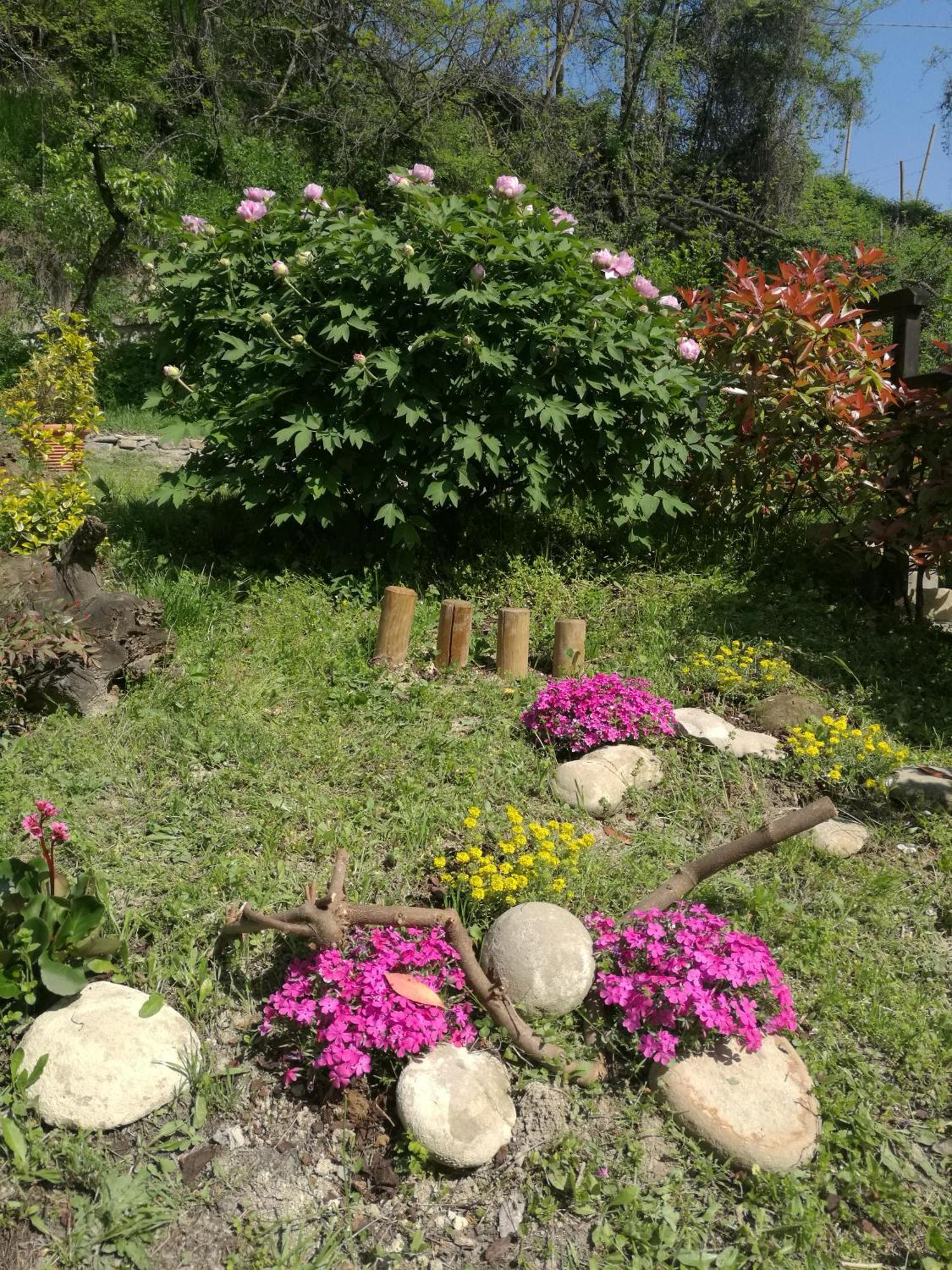 Le Rose Di Mapi Villa Mango Buitenkant foto