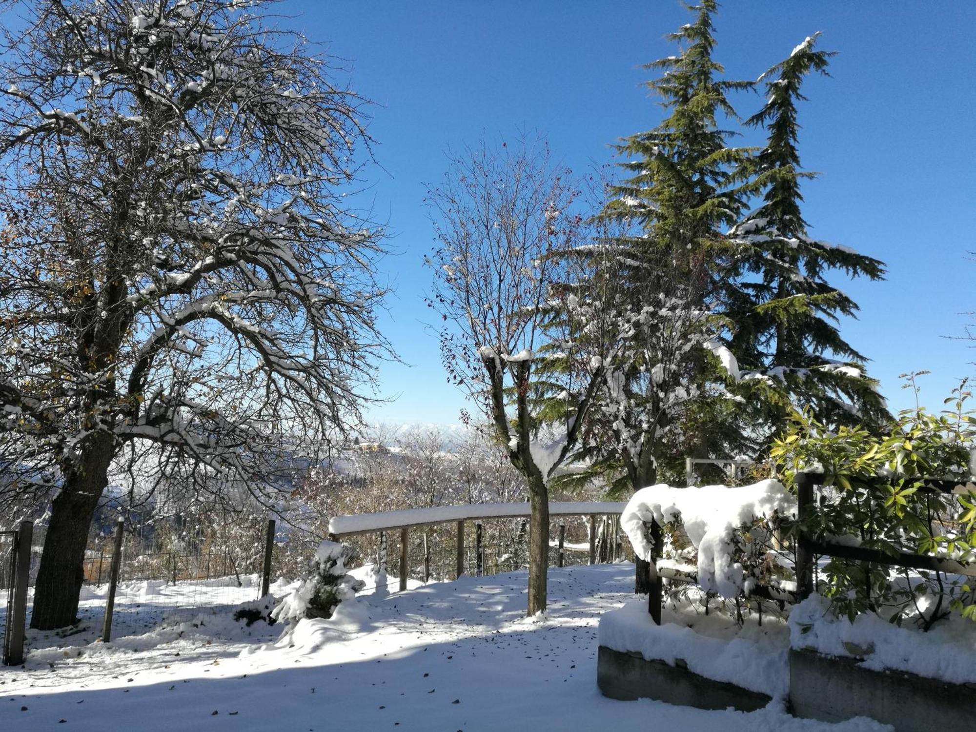 Le Rose Di Mapi Villa Mango Buitenkant foto